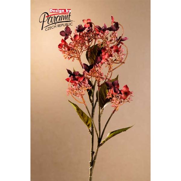 Dry Wild Hydrangea 62 cm červená (hortenzie)