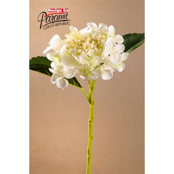 Hydrangea Bud 45cm bílá (hortenzie)