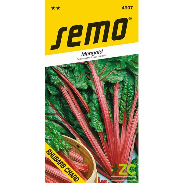 Mangold - Rhubard Chard zelený 3g