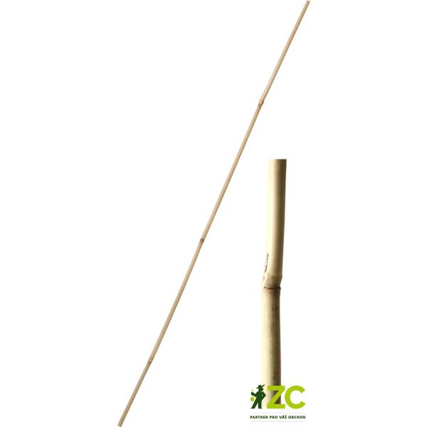 Tyč bambusová 150 cm tl. 14-16 mm