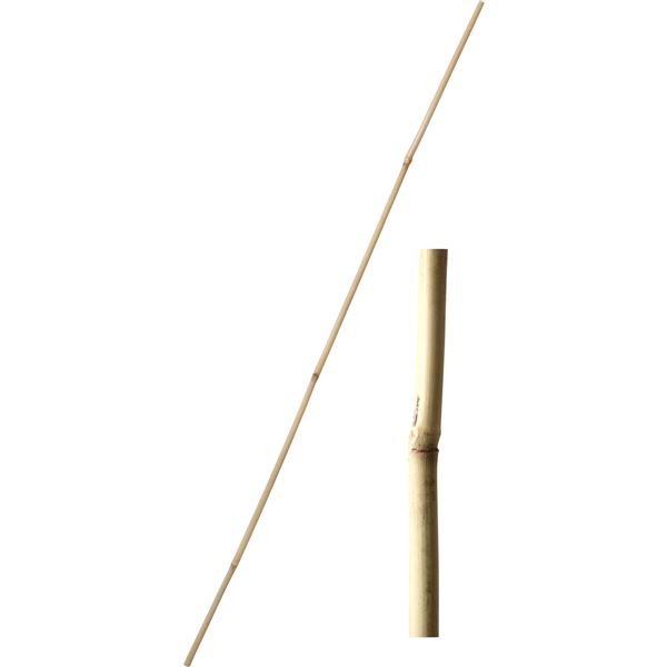 Tyč bambusová 150 cm tl. 14-16 mm