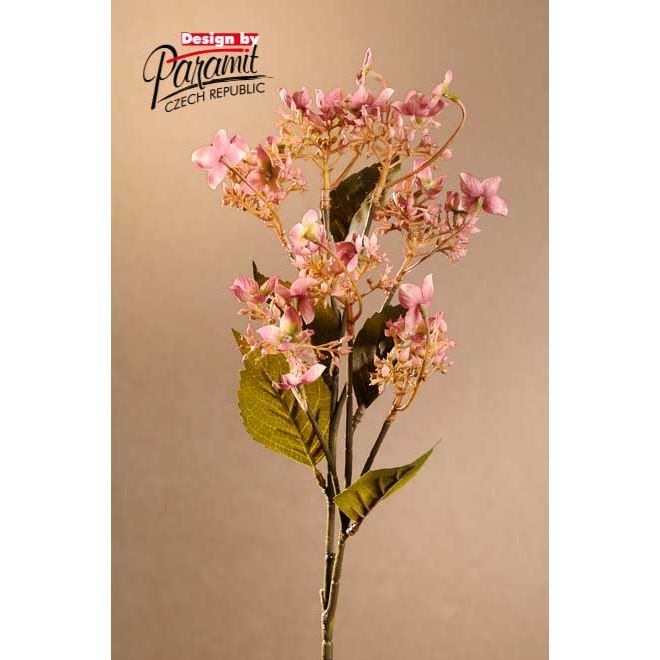 Dry Wild Hydrangea 62 cm růžová