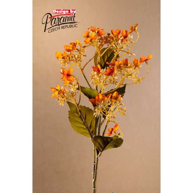 Dry Wild Hydrangea 62 cm oranžová (hortenzie)