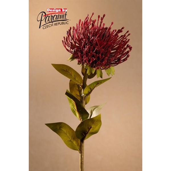 Protea 73 cm červená