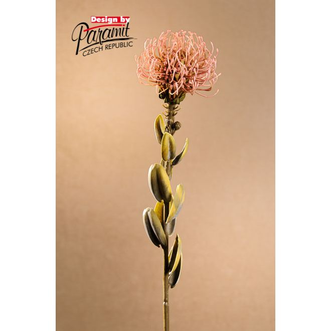 Dry Small Protea 61 cm růžová