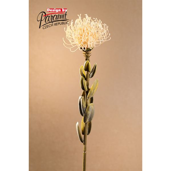 Dry Small Protea 61 cm bílá