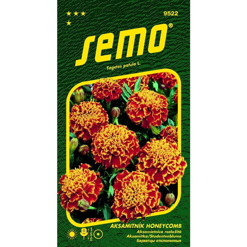 Aksamitník rozkladitý - Honeycomb (Super Hero Orange Flame) 30s (ZÁRUKA 12/2023)